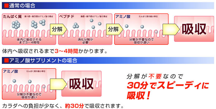 30分でスピーディに吸収！
