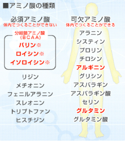 アミノ酸の種類