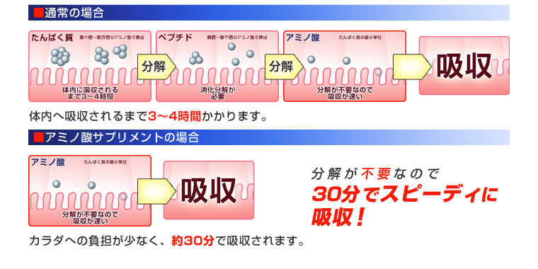 30分でスピーディに吸収!