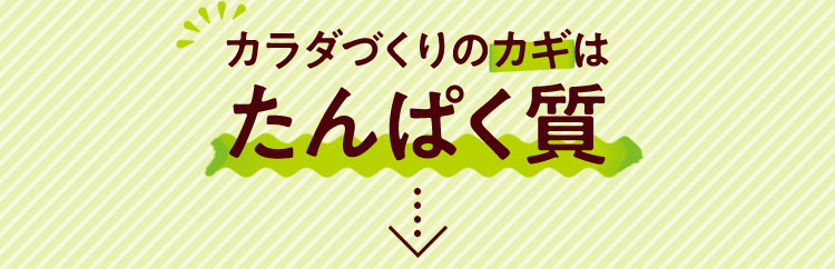 カラダづくりのカギはたんぱく質 