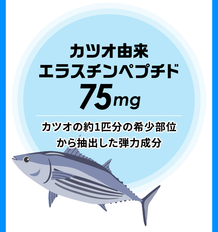 カツオ由来 エラスチンペプチド75mg カツオの約1匹分の希少部位 から抽出した弾力成分