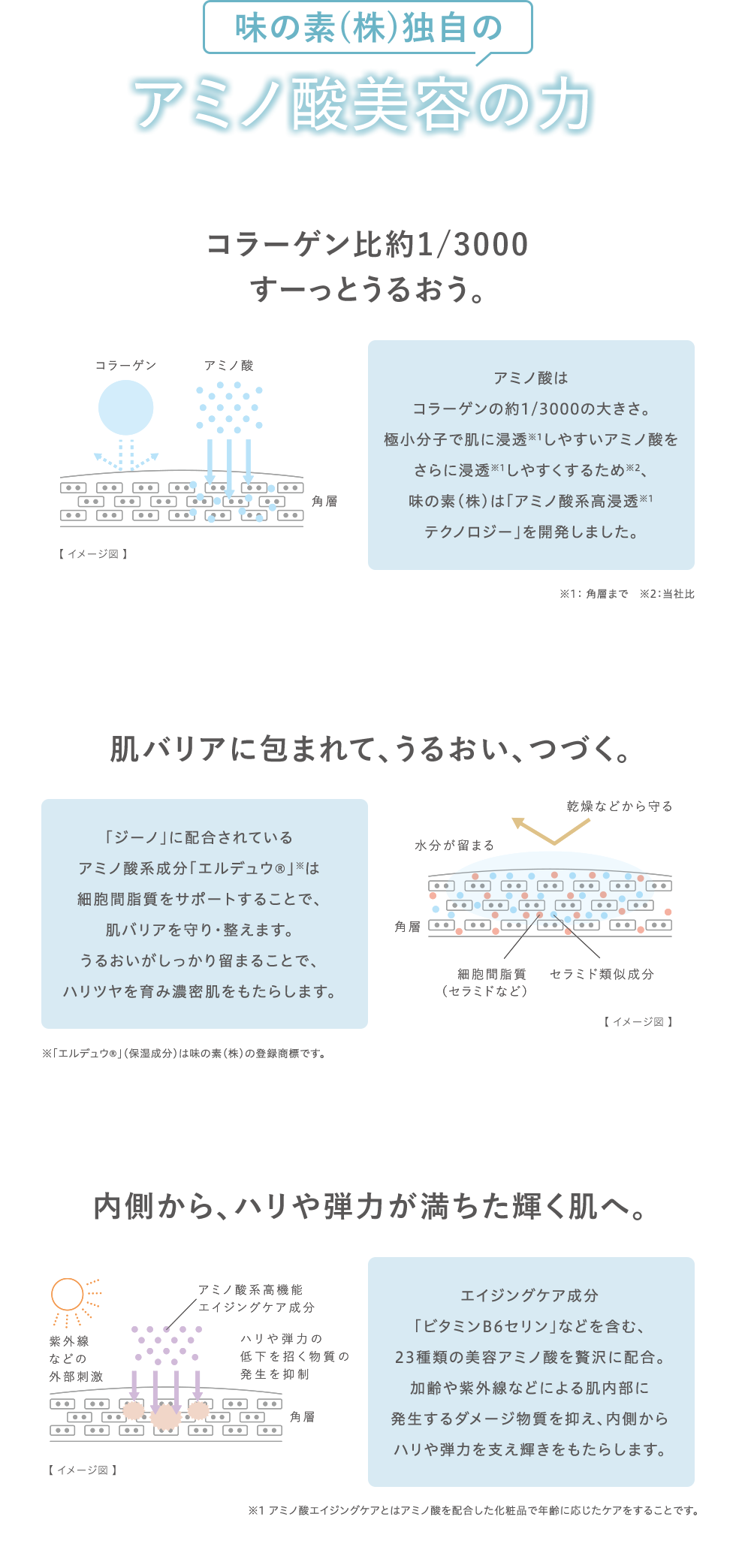 アミノ酸美容の力