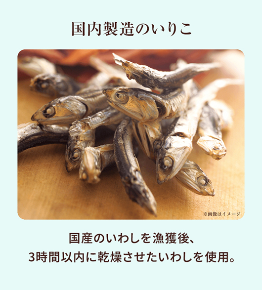 国内製造のいりこ