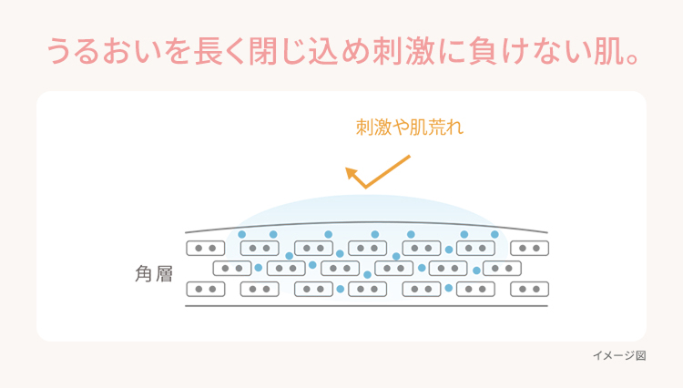 うるおいを長く閉じ込め刺激に負けない肌。
