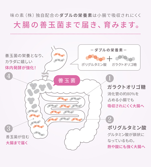 大腸の善玉菌まで届き、育みます。