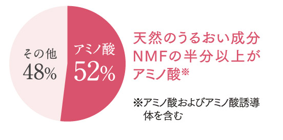 天然のうるおい成分NMFの半分以上がアミノ酸