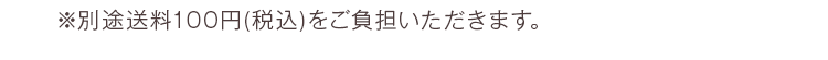 ※別途送料100円（税込）をご負担いただきます。