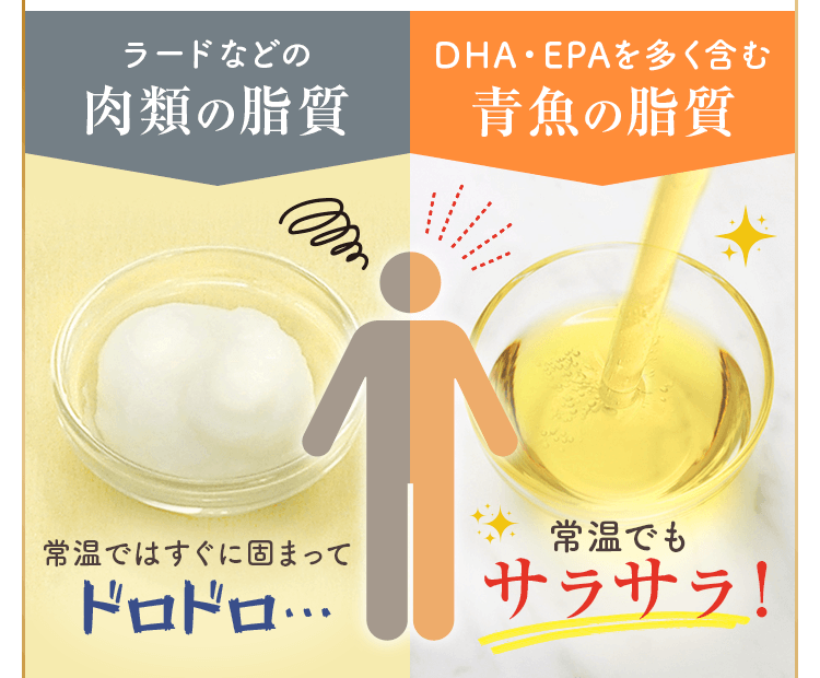 DHA・EPAを多く含む青魚の脂質