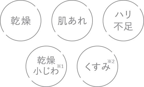 乾燥・肌あれ・ハリ不足・乾燥小じわ・くすみ