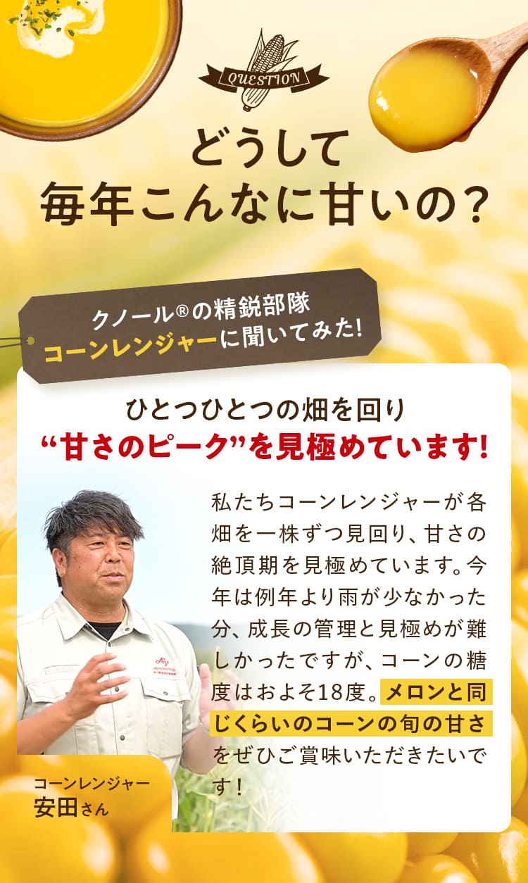 どうして毎年こんなに甘いの？クノール®の精鋭部隊コーンレンジャーに聞いてみた！ひとつひとつの畑を回り“甘さのピーク”を見極めています！