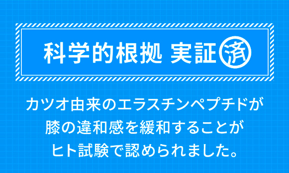 科学的根拠 実証済 カツオ由来のエラスチンペプチドが膝の違和感を緩和することがヒト試験で認められました。