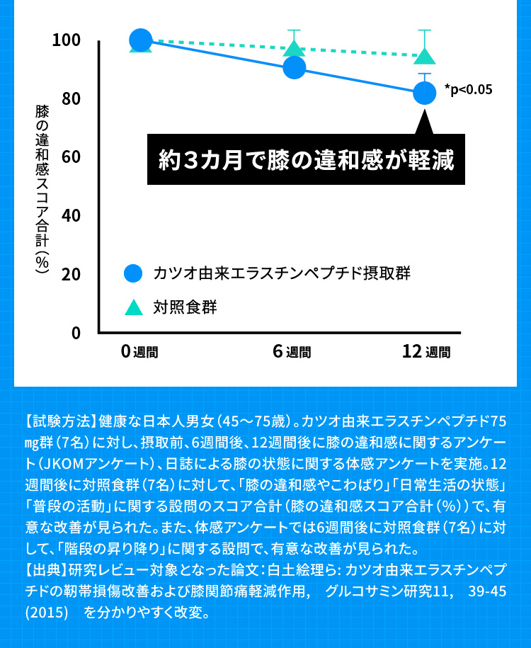約3カ月で膝の違和感が軽減 【試験方法】健康な日本人男女(45~75歳)。カツオ由来エラスチンペプチド75㎎群(7名)に対し、摂取前、6週間後、12週間後に膝の違和感に関するアンケート(JKOMアンケート)、日誌による膝の状態に関する体感アンケートを実施。12週間後に対照食群(7名)に対して、「膝の違和感やこわばり」「日常生活の状態」「普段の活動」に関する設問のスコア合計(膝の違和感スコア合計(%))で、有意な改善が見られた。また、体感アンケートでは6週間後に対照食群(7名)に対して、「階段の昇り降り」に関する設問で、有意な改善が見られた。【出典】研究レビュー対象となった論文:白土絵理ら: カツオ由来エラスチンペプチドの靭帯損傷改善および膝関節痛軽減作用, グルコサミン研究11, 39-45 (2015) を分かりやすく改変。