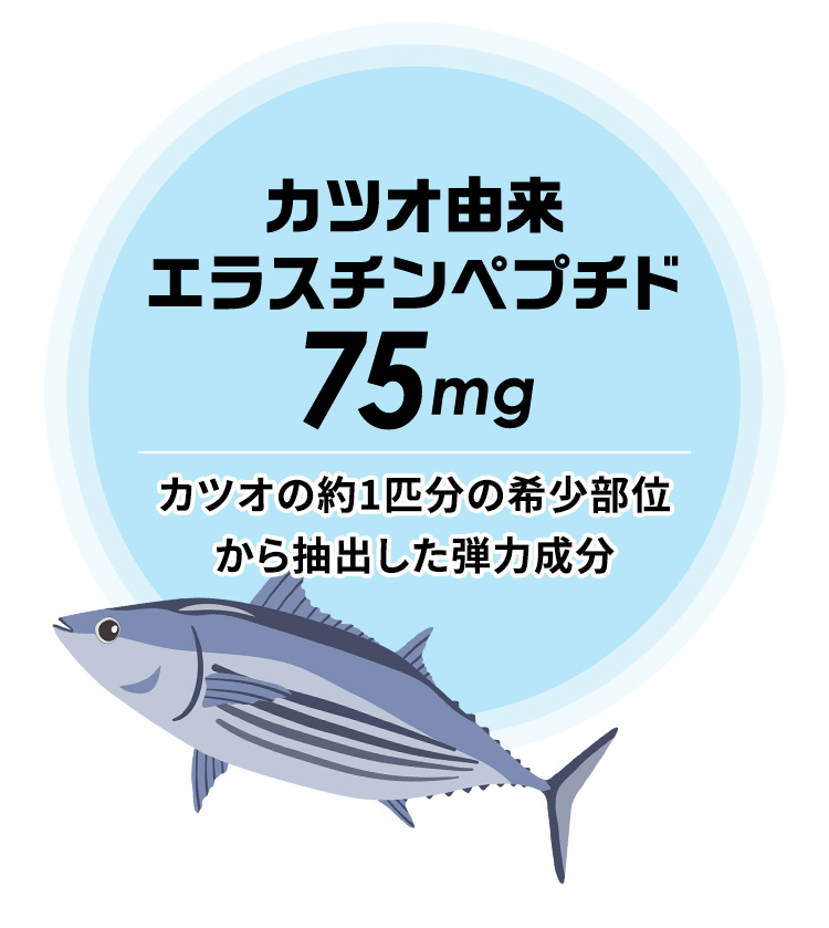 カツオ由来エラスチンペプチド75mg カツオの約1匹分の希少部位から抽出した弾力成分