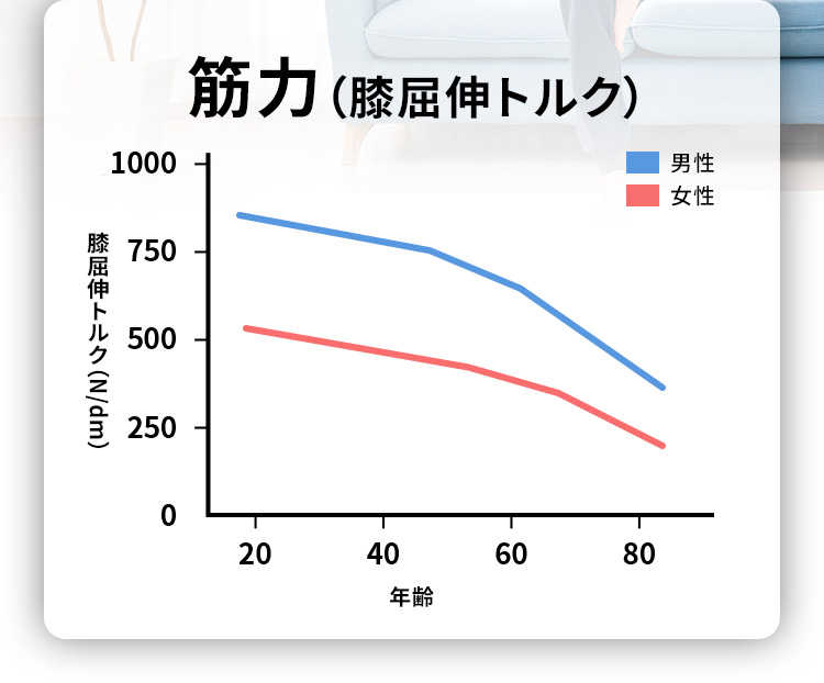 筋力(膝屈伸トルク)