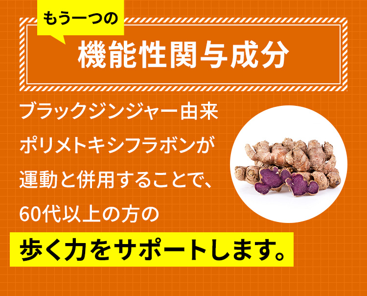 もう一つの 機能性関与成分 ブラックジンジャー由来ポリメトキシフラボンが運動と併用することで、60代以上の方の歩く力をサポートします。