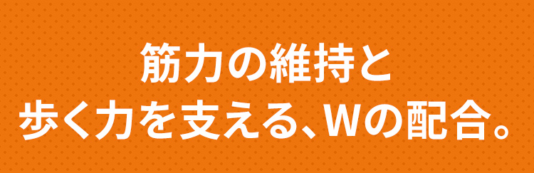 筋力の維持と歩く力を支える、Wの配合。