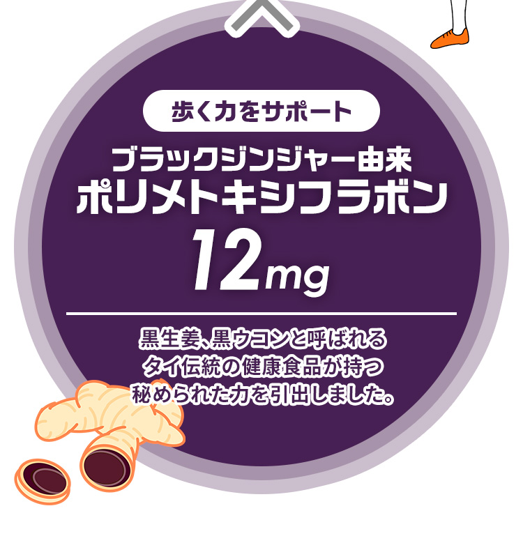 歩く力をサポート ブラックジンジャー由来 ポリメトキシフラボン12mg 黒生姜、黒ウコンと呼ばれるタイ伝統の健康食品が持つ秘められた力を引出しました。
