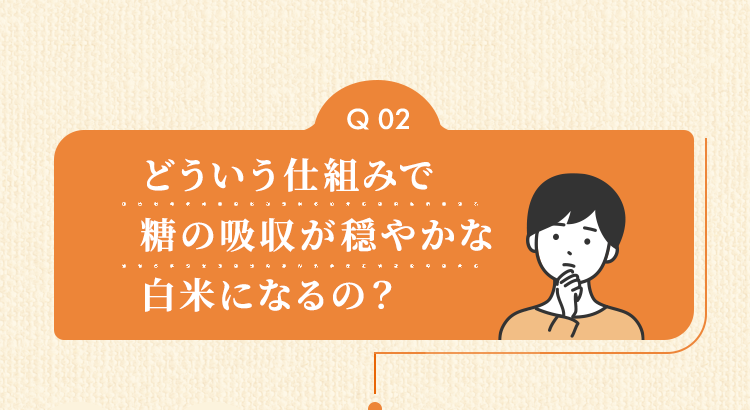 どういう仕組みで糖の吸収が穏やかな白米になるの？