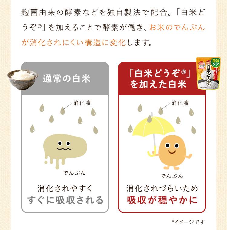 麹菌由来の酵素などを独自製法で配合。「白米どうぞ®」を加えることで酵素が働き、お米のでんぷんが消化されにくい構造に変化します。