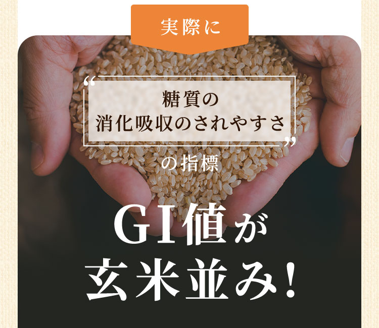糖質の消化吸収のされやすさ