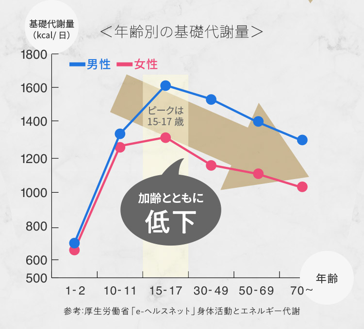 ＜年齢別の基礎代謝量＞