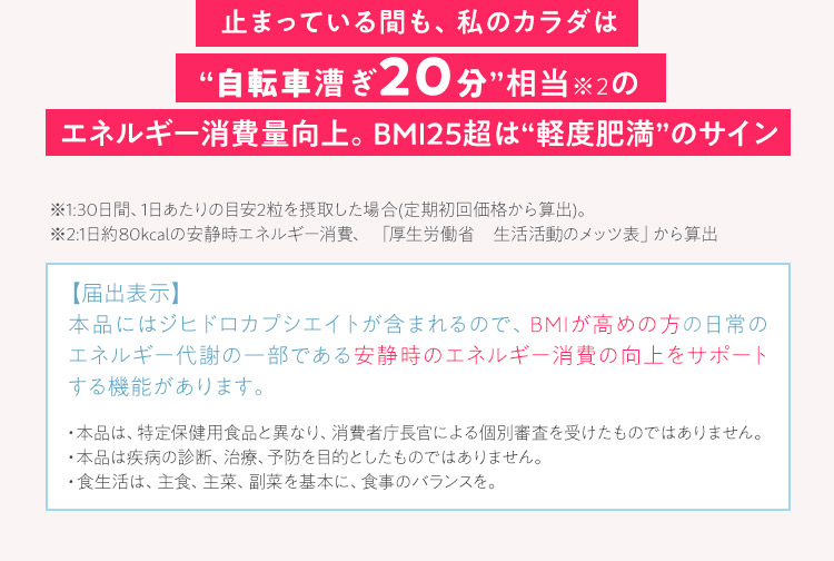 【届出表示】