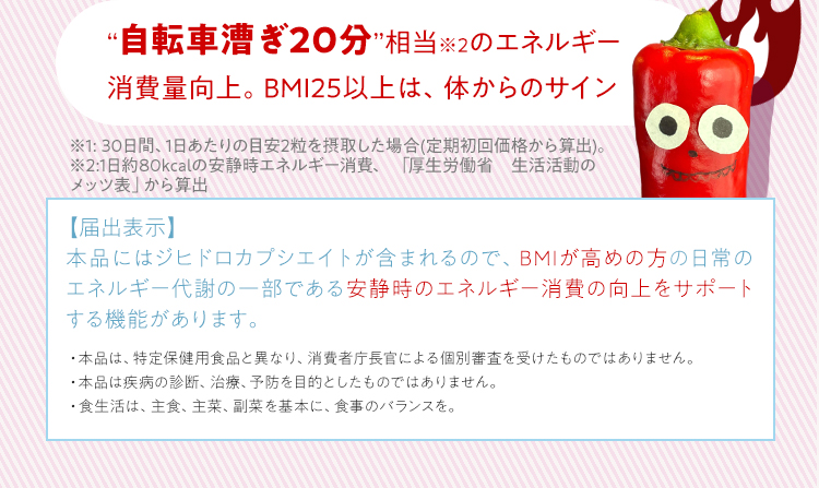 【届出表示】