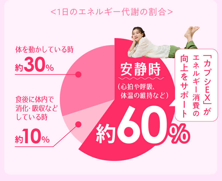 ＜1日のエネルギー代謝の割合＞