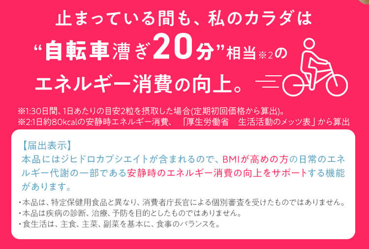 【届出表示】