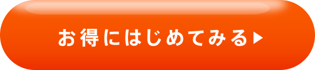 お得にはじめてみる