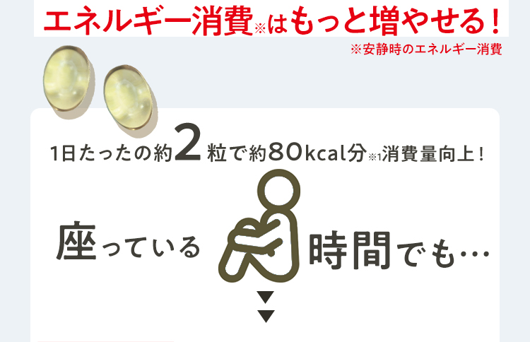 エネルギー消費はもっと増やせる！