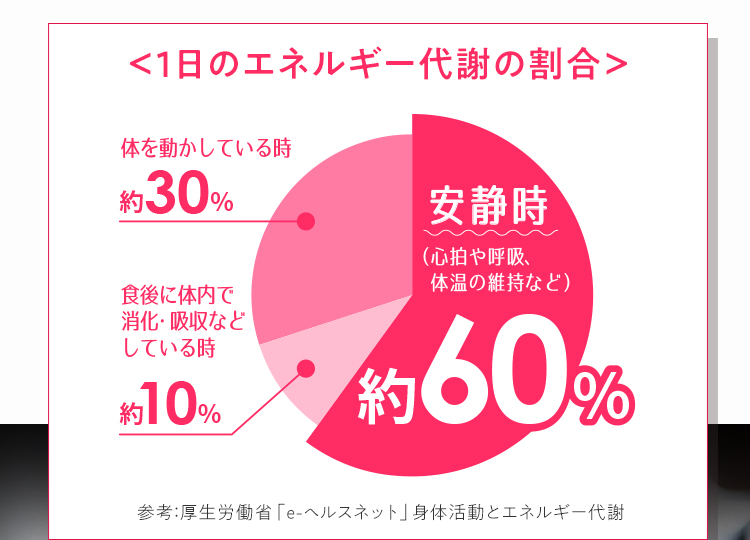 ＜1日のエネルギー代謝の割合＞