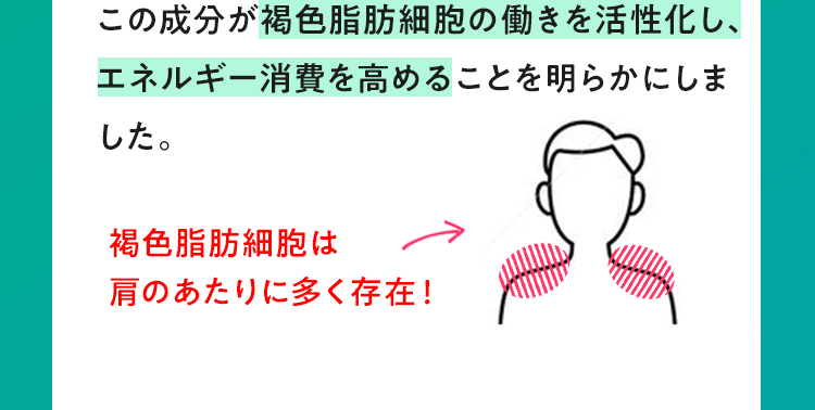エネルギー消費を高めることを明らかにしました。
