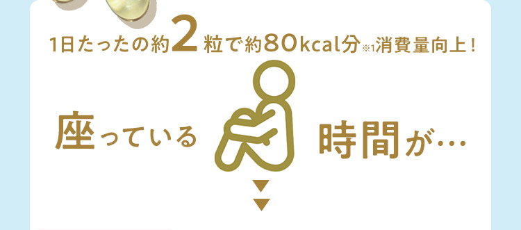1日たったの約2粒で約80kcal分※1消費量向上！