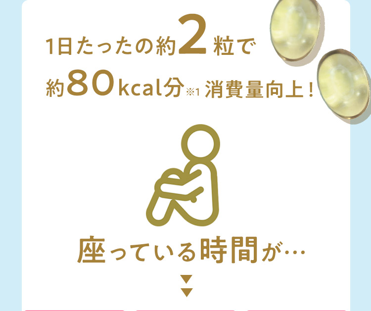 1日たったの約2粒で約80kcal分※1消費量向上！