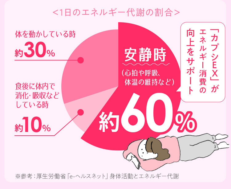 ＜1日のエネルギー代謝の割合＞