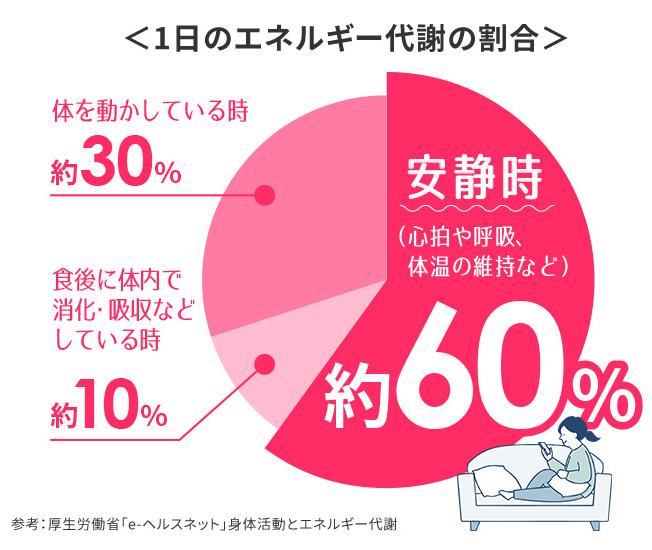 1日のエネルギー代謝の割合