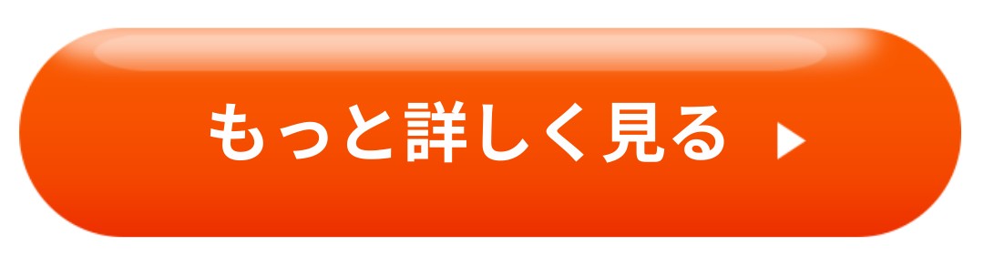 もっと詳しく見る