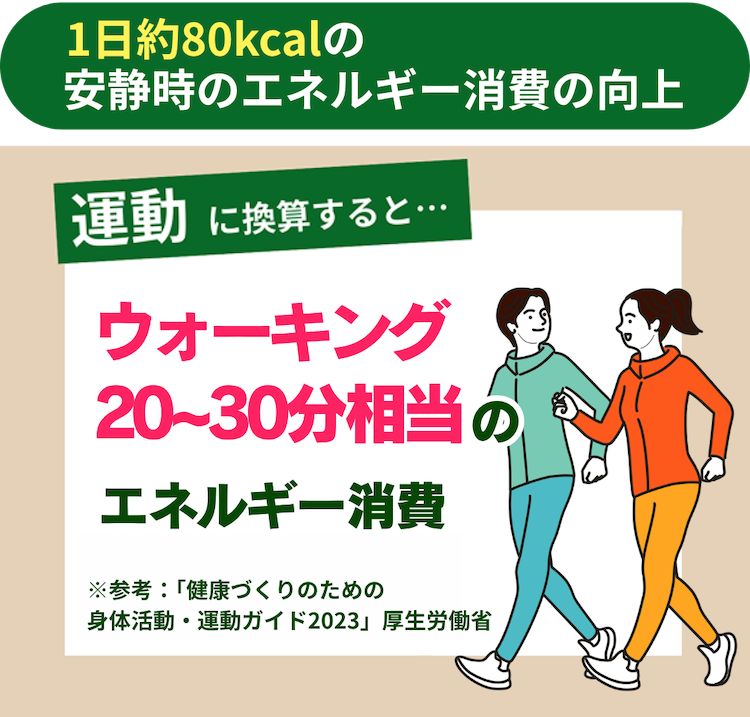 1日約80kcalの安静時のエネルギー消費の向上 運動に換算すると…ウォーキング20~30分相当のエネルギー消費