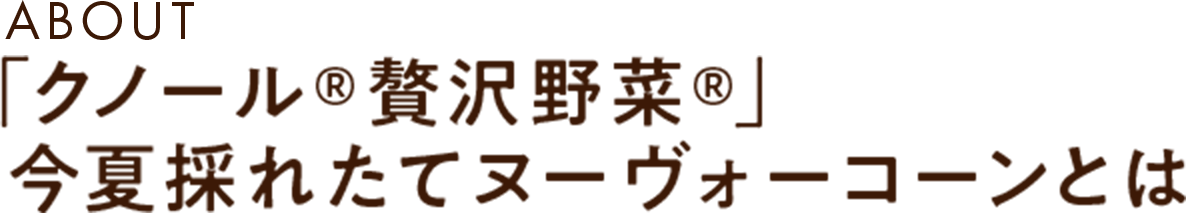「クノール®贅沢野菜®」今夏採れたてヌーヴォーコーンとは