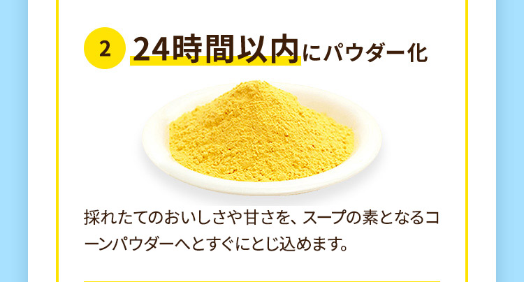 2.24時間以内にパウダー化 採れたてのおいしさや甘さを、スープの素となるコーンパウダーへとすぐにとじ込めます。