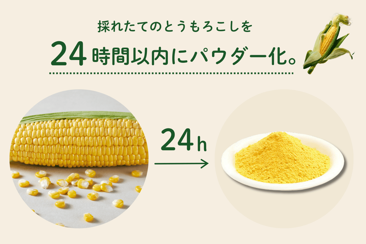 採れたてのとうもろこしを24時間以内にパウダー化