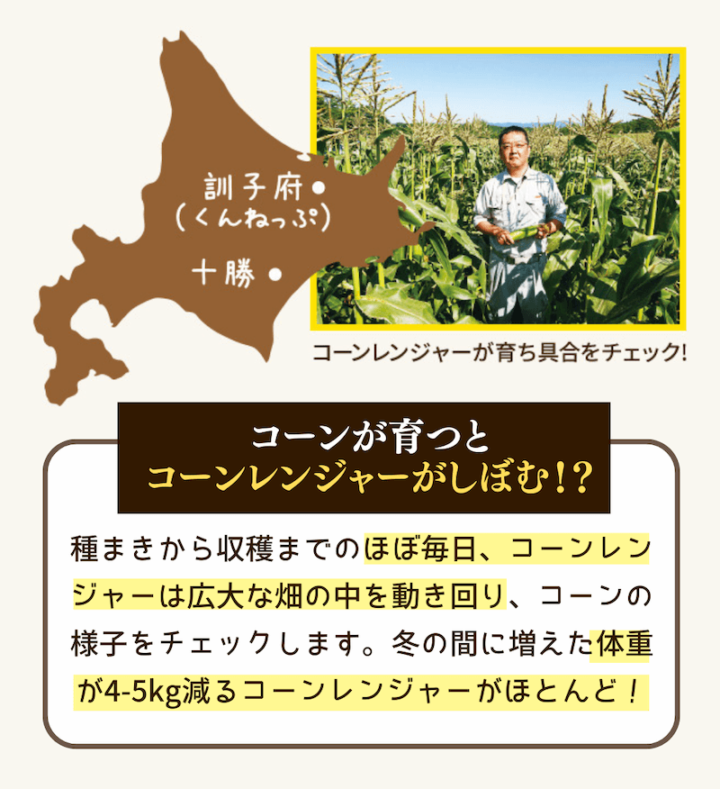 コーンが育つとコーンレンジャーがしぼむ！？