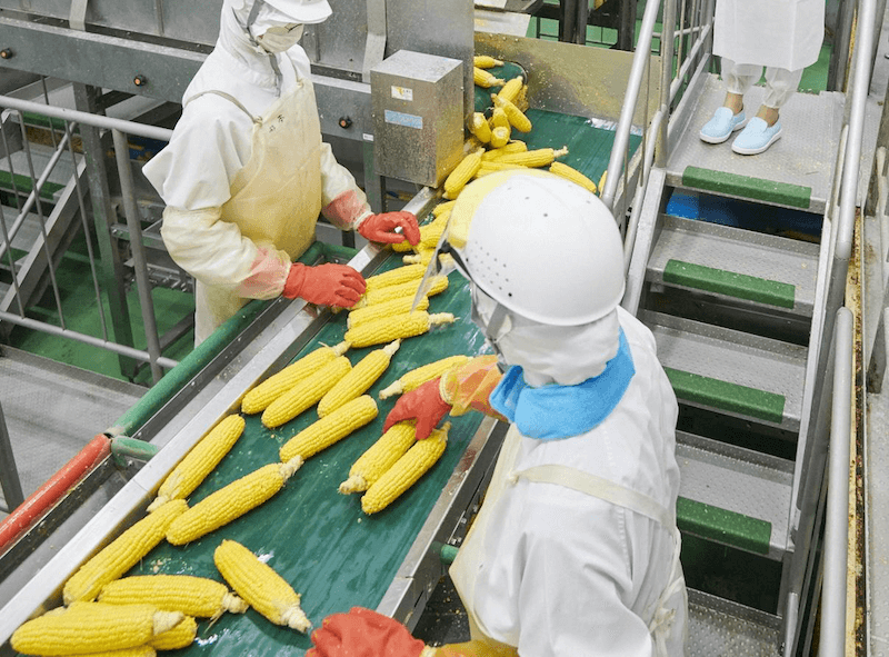 コーンパウダー工場