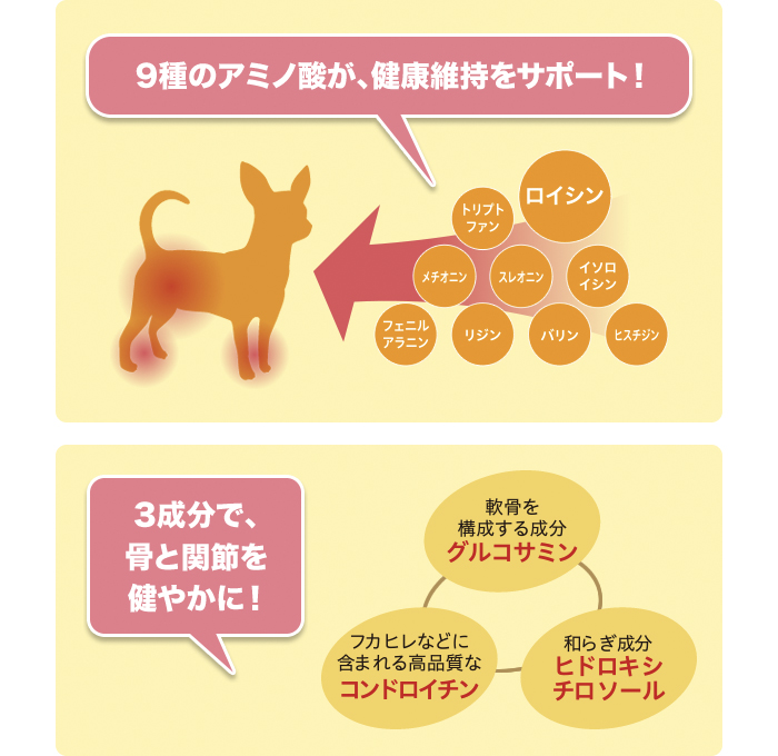 足腰健康サポート ドッグパートナー サプリメント 味の素ダイレクト 株 健康食品 化粧品 公式通販