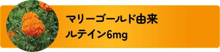 マリーゴールド由来ルテイン6mg
