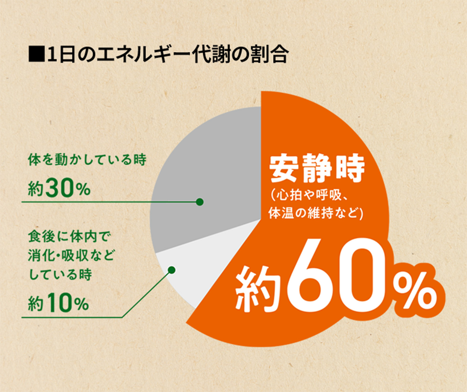 ■1日のエネルギー代謝の割合