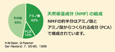 天然保湿成分（NMF）の組成