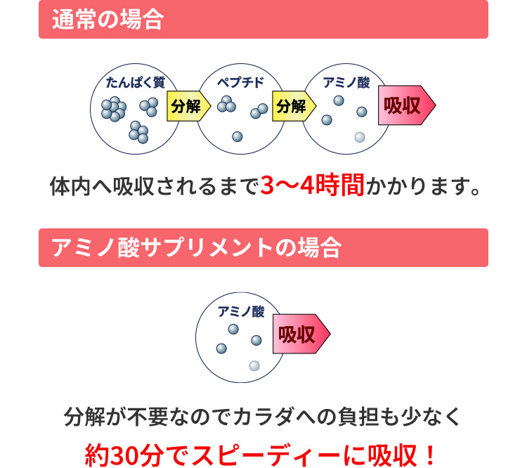 スピーディーな体内補給