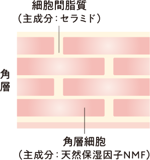 角層